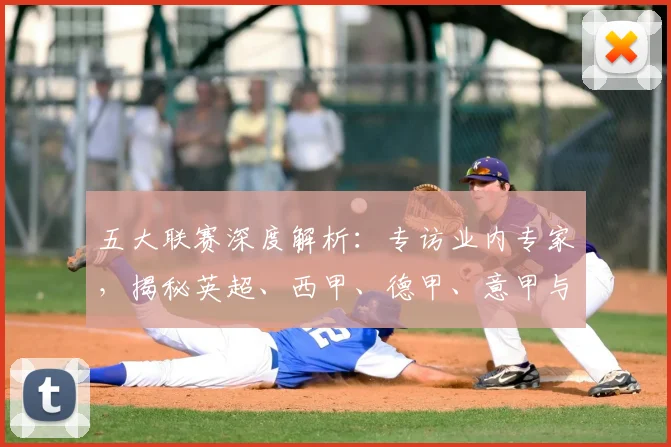 五大联赛深度解析：专访业内专家，揭秘英超、西甲、德甲、意甲与法甲的本质区别_20260611141735